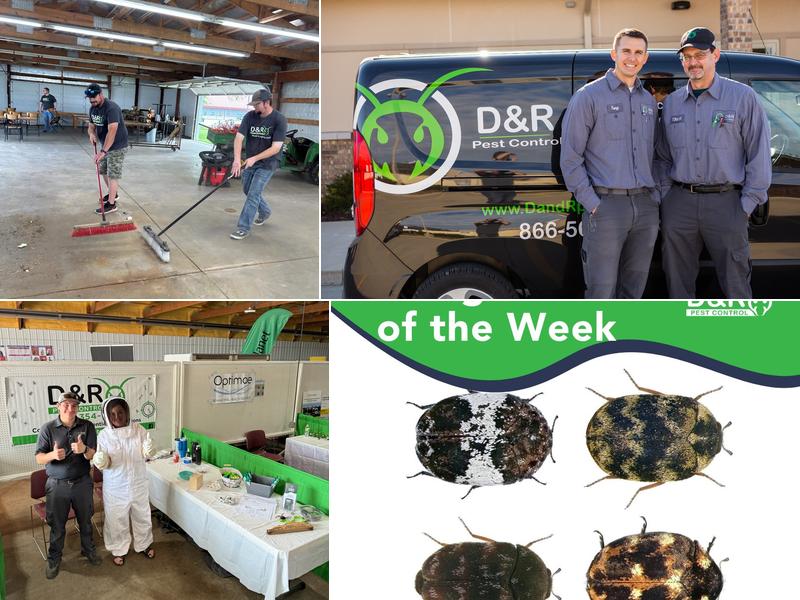 D & R Pest Control (Cedar Rapids)