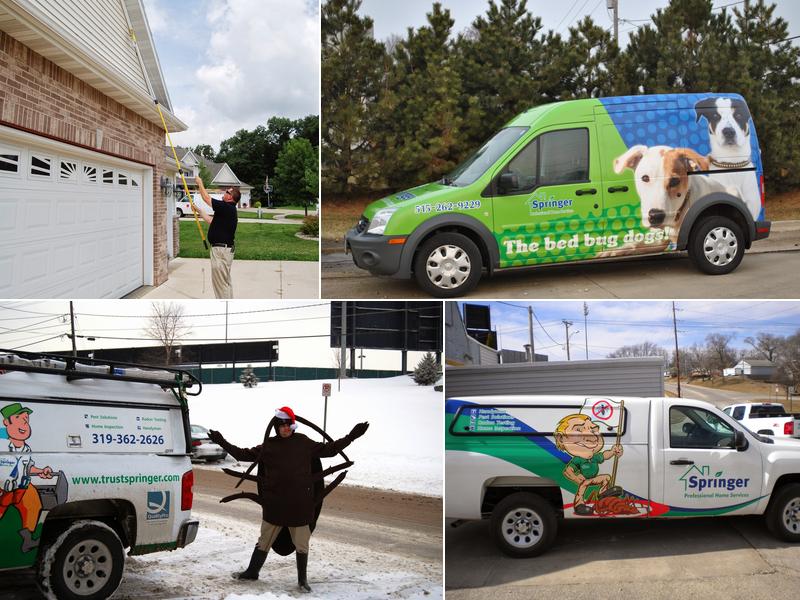 Springer Pest Solutions