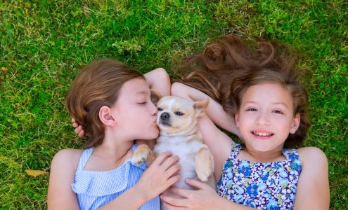 Green Scene Lawn and Pest Control