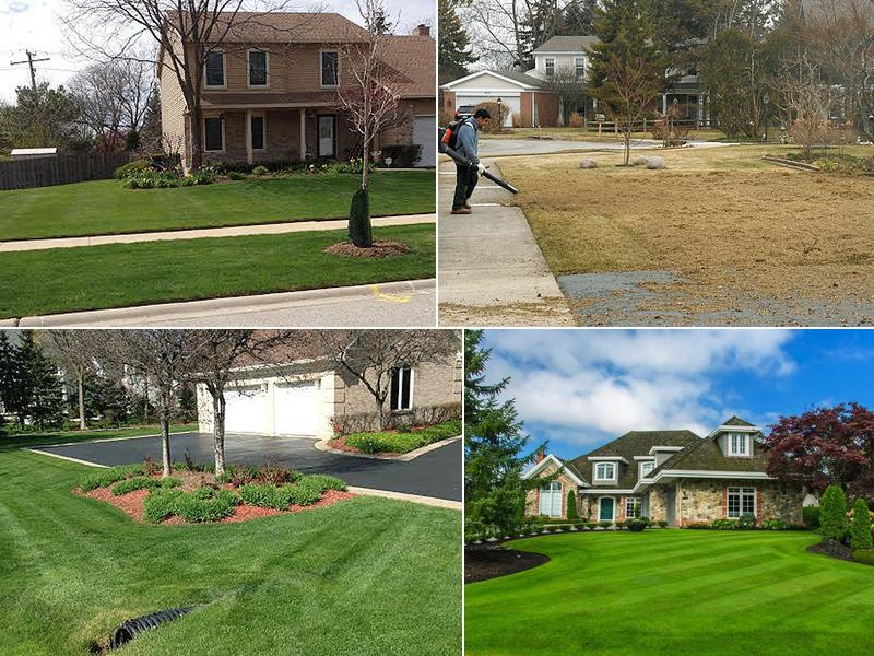 Rene & Sons Landscaping Inc.