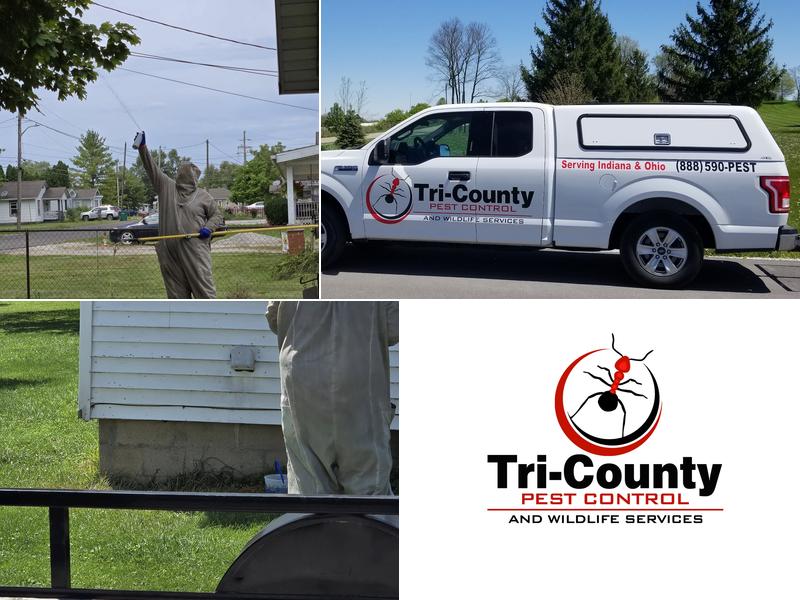 Tri-County Pest Control & Wildlife Services