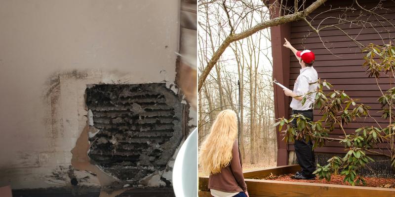 Arab Termite & Pest Control