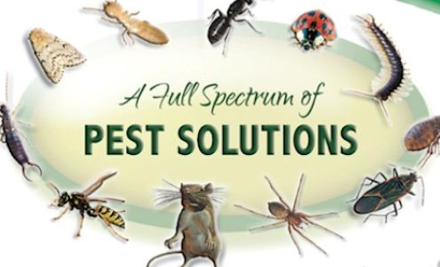 Advanced Pest Solutions Plus