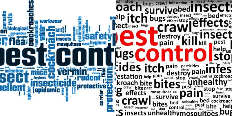 Bed Bug Solutions of Southwest Michigan LLC