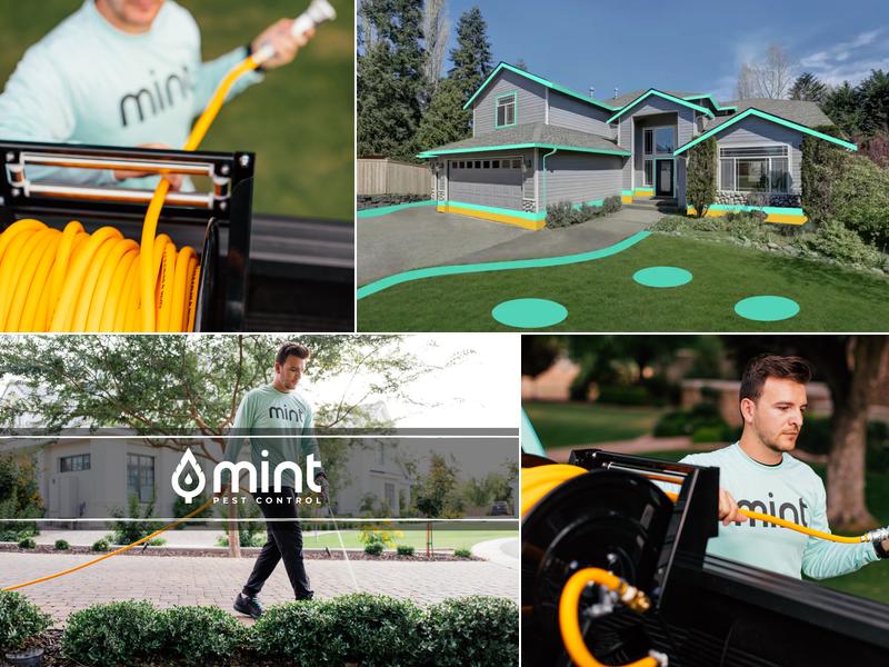 Mint Pest Control