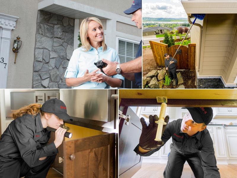 Presto-X Pest Control