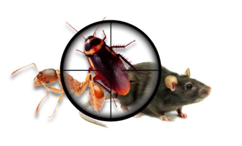 A-L-S Pest Control