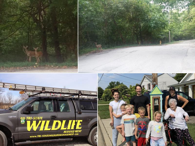 Tri-State Wildlife Management