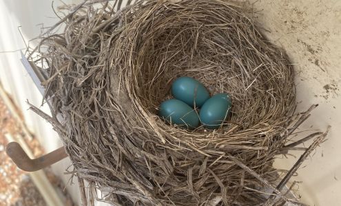 ShieldPro 702 Main St, Buchanan Michigan 49107