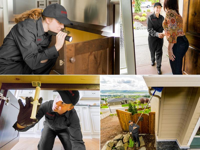 Presto-X Pest Control