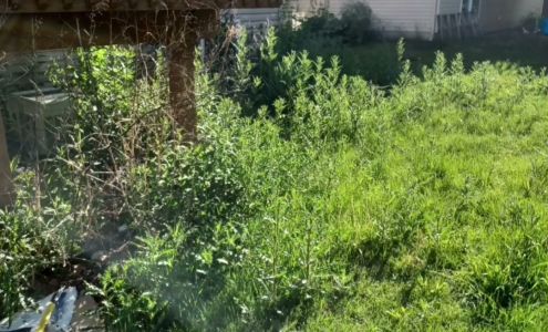 Greener View services llc