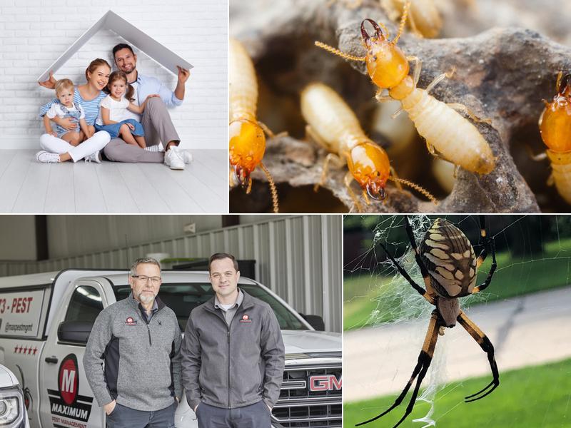 Maximum Pest Management