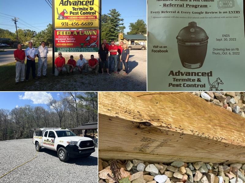 Advanced Termite & Pest Control