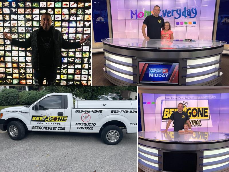 Bee Gone Pest Control