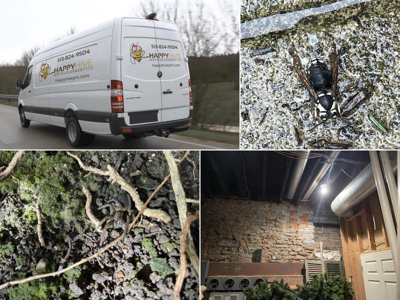 Happy Hive Pest Management