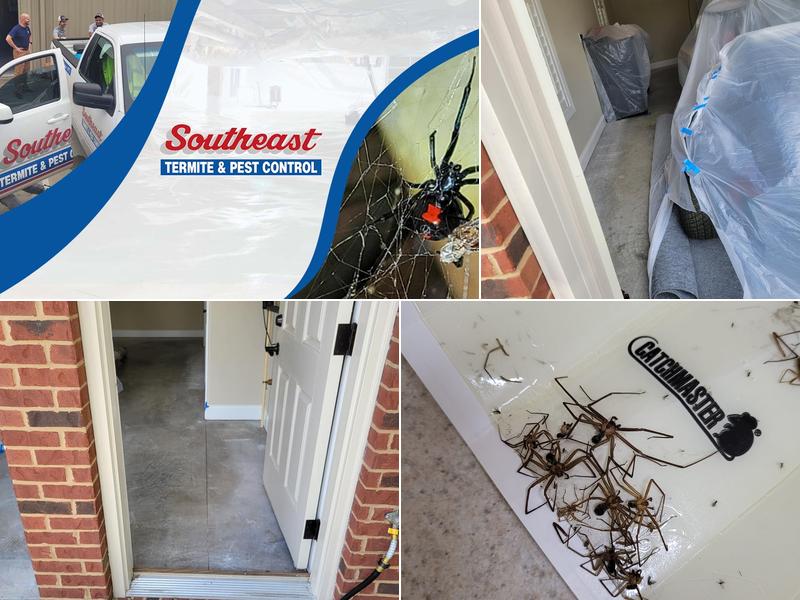 Southeast Termite & Pest Control