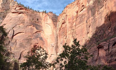 Ranger Pest Control 104 Darnell Dr, Johnson City Tennessee 37601