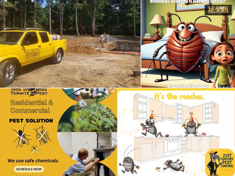 21st Century Termite & Pest