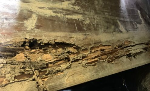 Dunlap Termite and Pest Control 54 Roundbottom Rd Suite B, Peytona West Virginia 25154