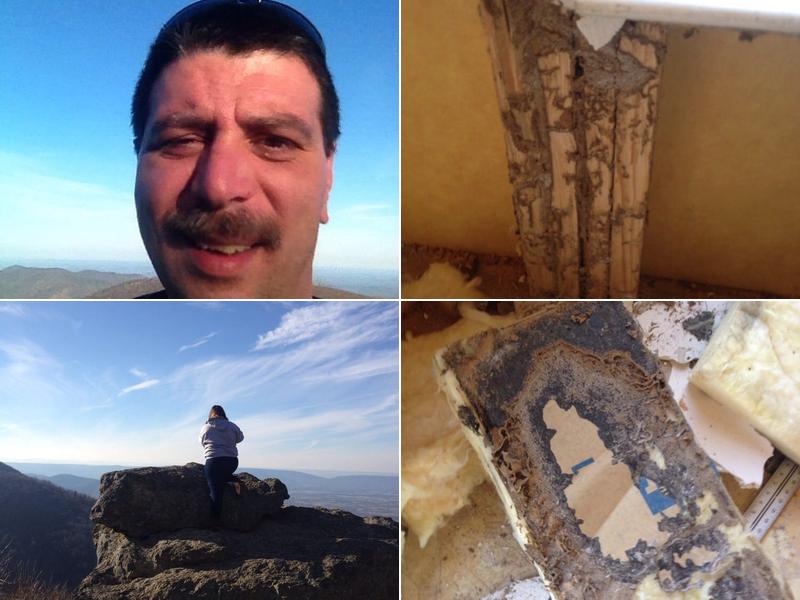 National Termite and Pest Services