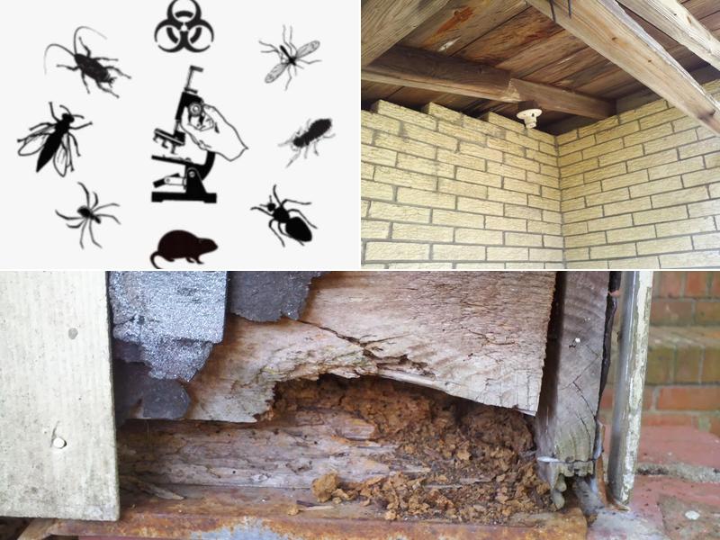 Abatol-Al's Pest Control Services