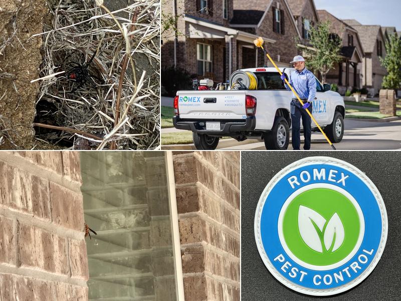 Romex Pest & Termite Control Tyler