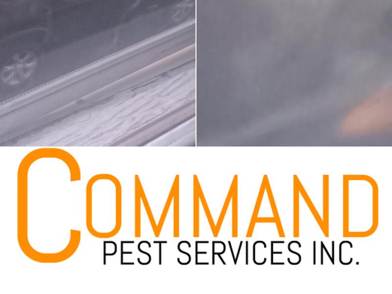 Command Pest Services