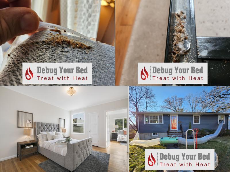 Debug Your Bed - Pest Control