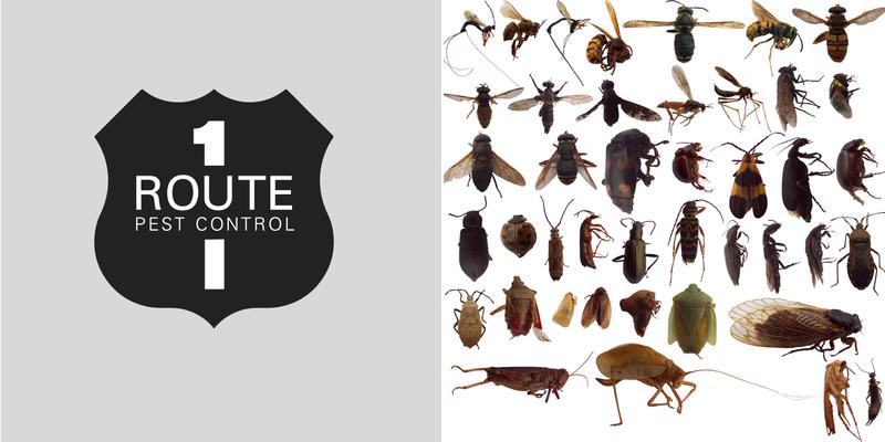 Route One Pest Control, Inc
