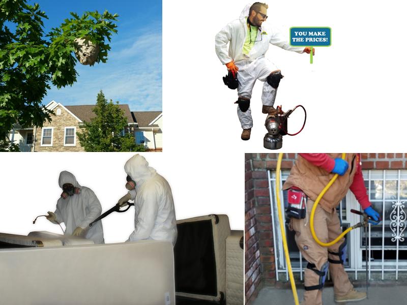 A to B Pest Control LLC