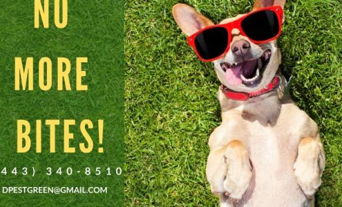 Deepest Green Solutions