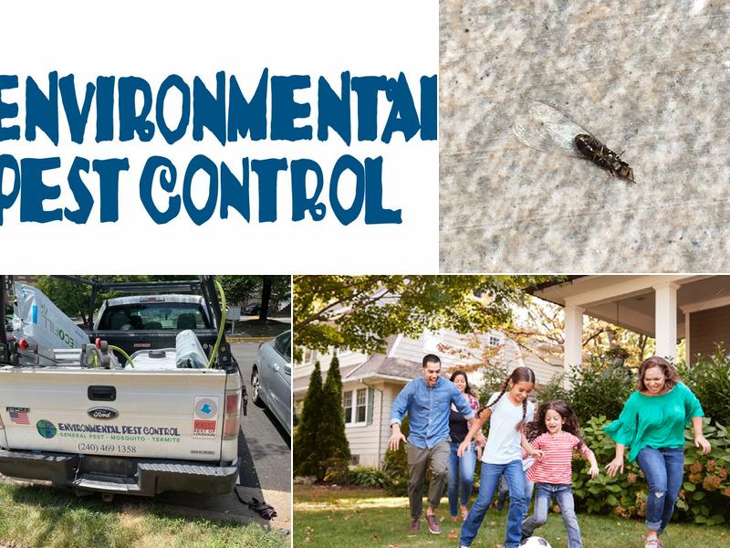 Environmental Pest Control