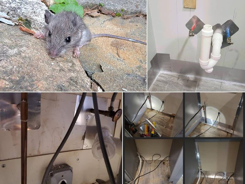 Best Mice Proofing Solutions