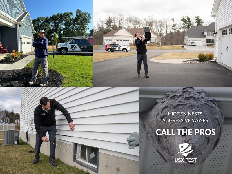 USX Pest Control - Albany, NY