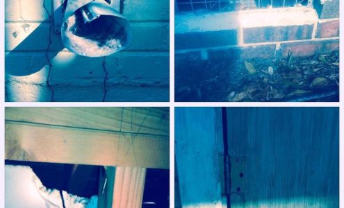 Lowell Wildlife Removal Pro