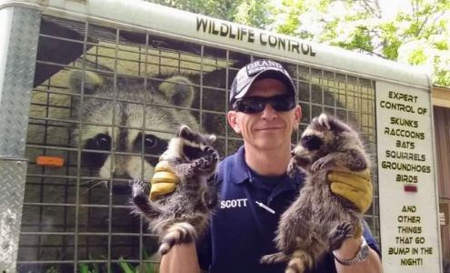 Grand Wildlife Control LLC 319 W Main St, Ionia Michigan 48846