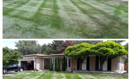 Three Oaks Landscaping