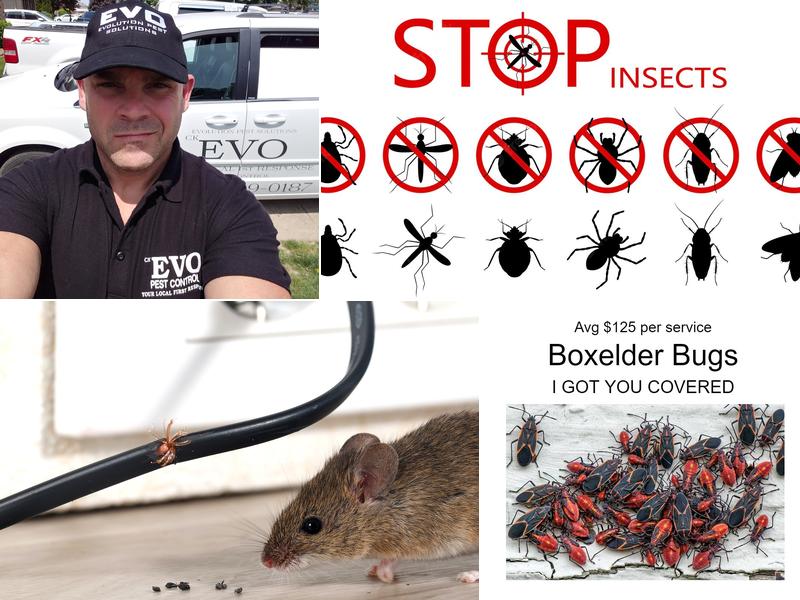 CK EVO - CK Evolution Pest Solutions