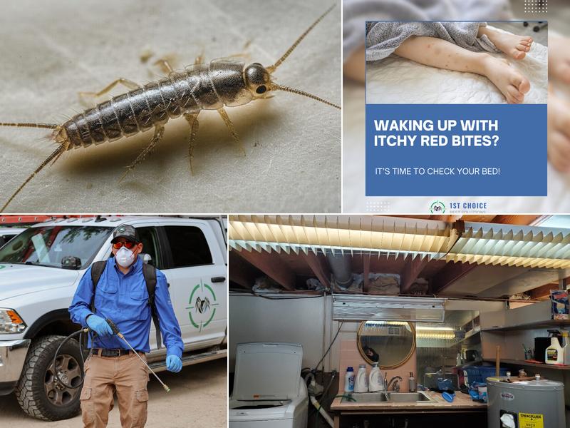 1st Choice Pest Control