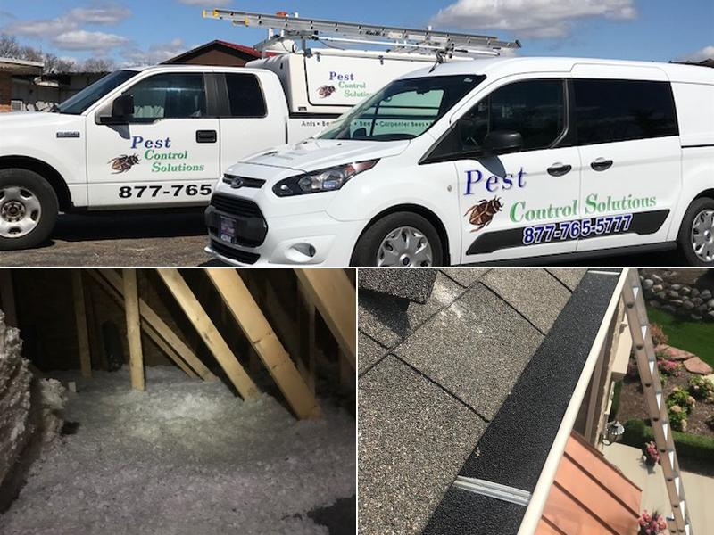 Pest Control Solutions