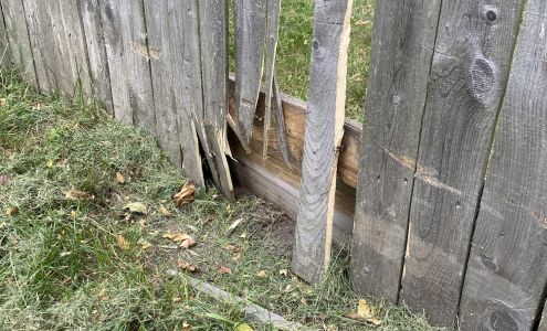 LawnStarter Lawn Care Service