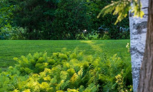 Green Team Lawn Care