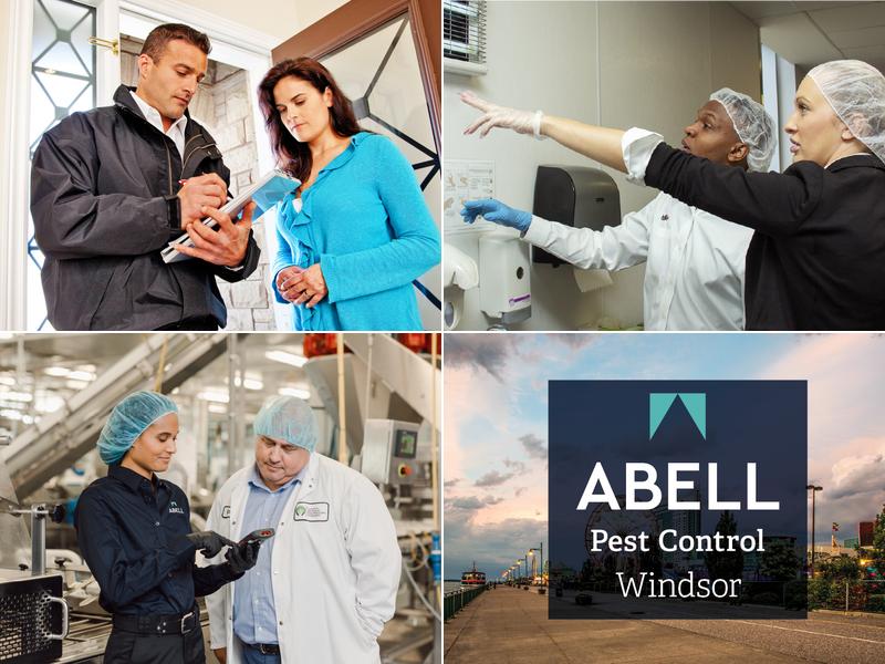 Abell Pest Control