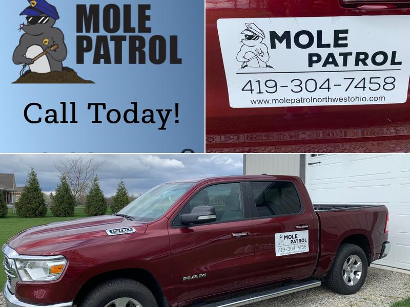 Mole Patrol
