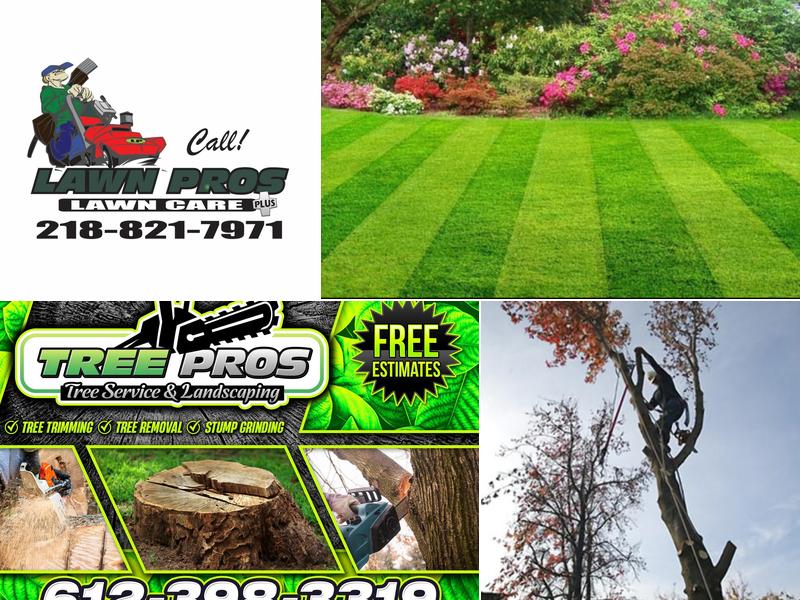 Tree pros Tree Service & landscaping