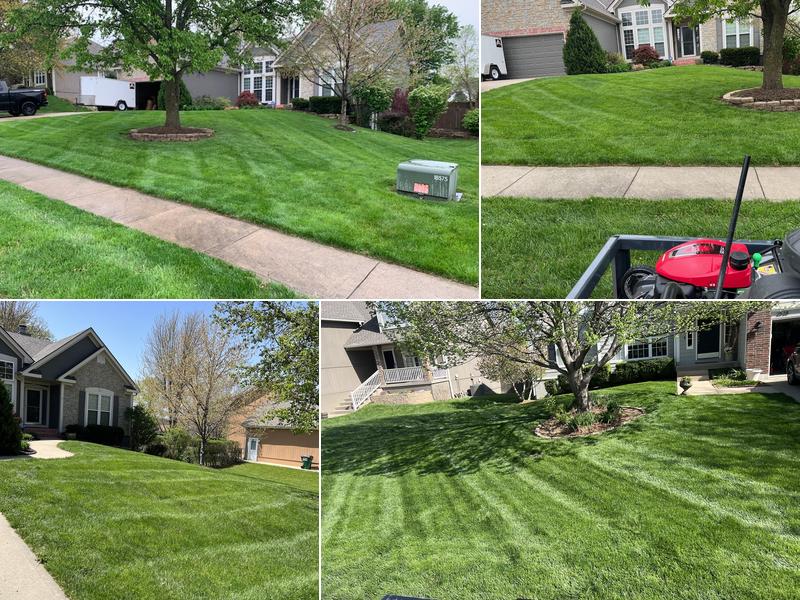 Mow Pro LLC