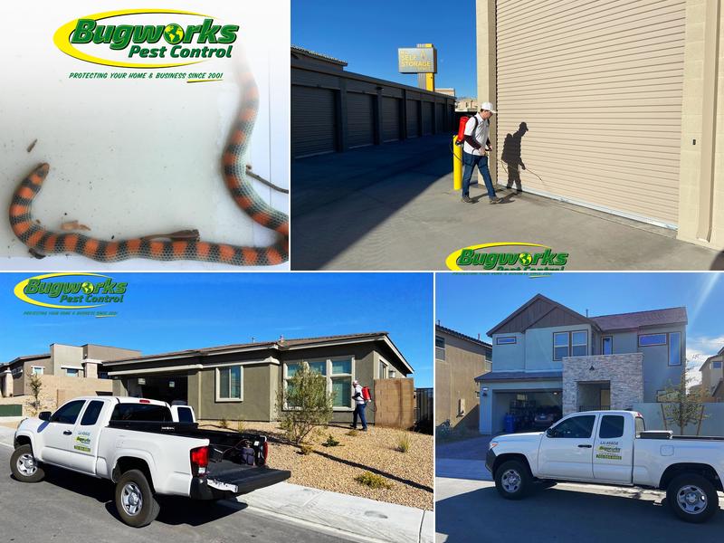 Bugworks Pest Control