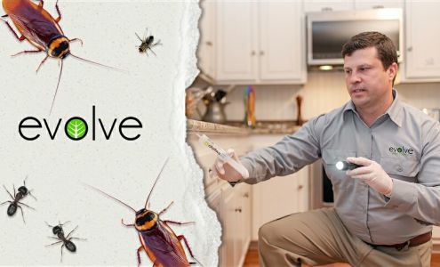 Evolve Pest Control 581 W Mesquite Blvd, Mesquite Nevada 89027