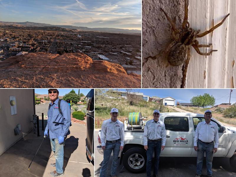 Red Hills Pest Control