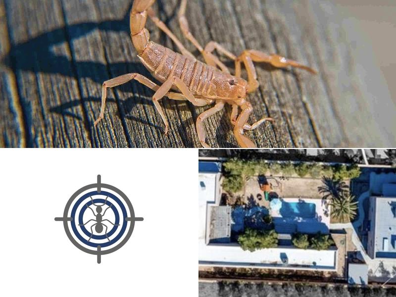 Imperial Pest Solutions